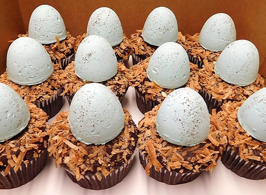 Robin's Egg Cupcakes